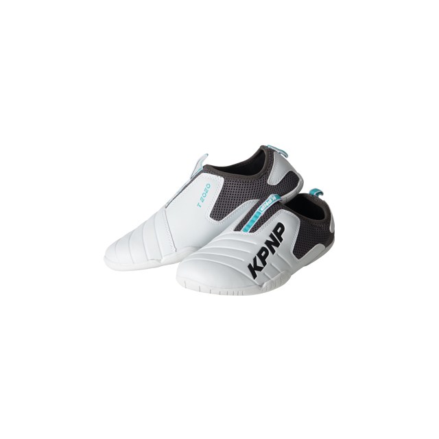 KPNP T2020